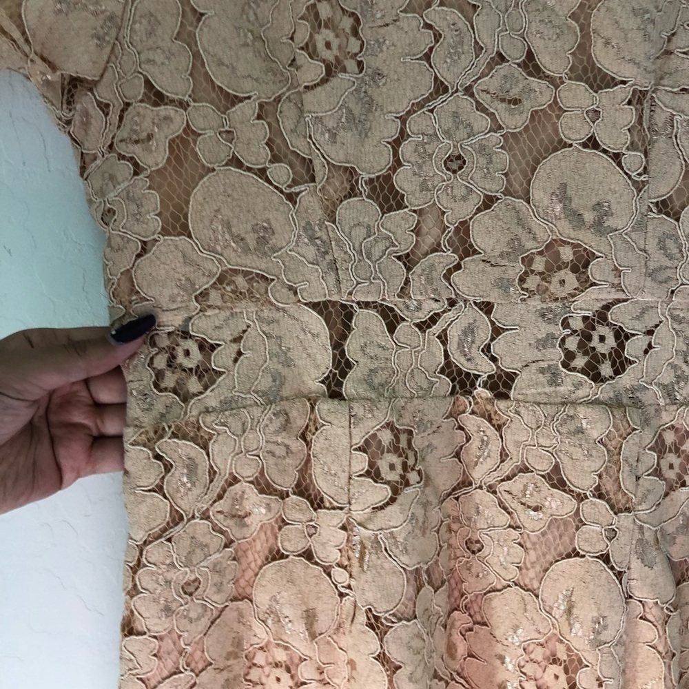NSR Lace Short Sleeve Sheath Midi Dress sz Medium - Picture 9 of 10